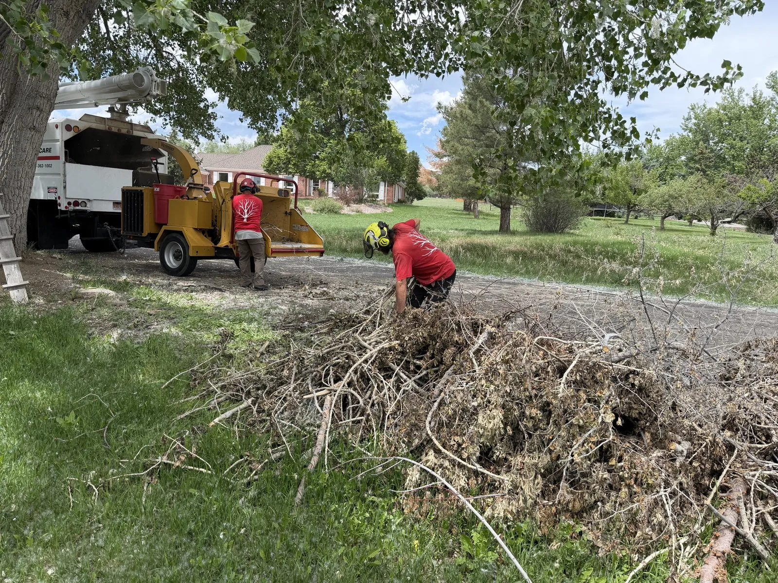 Wildfire Partners chipping crew in action