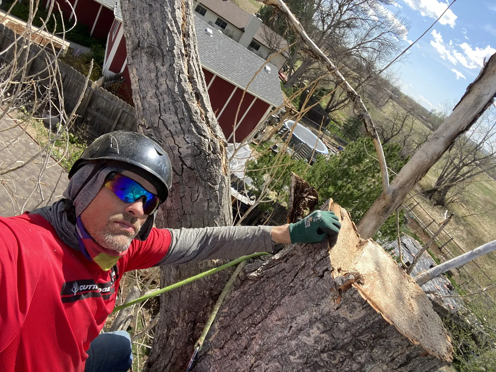 Arborist completing a technical tree removal